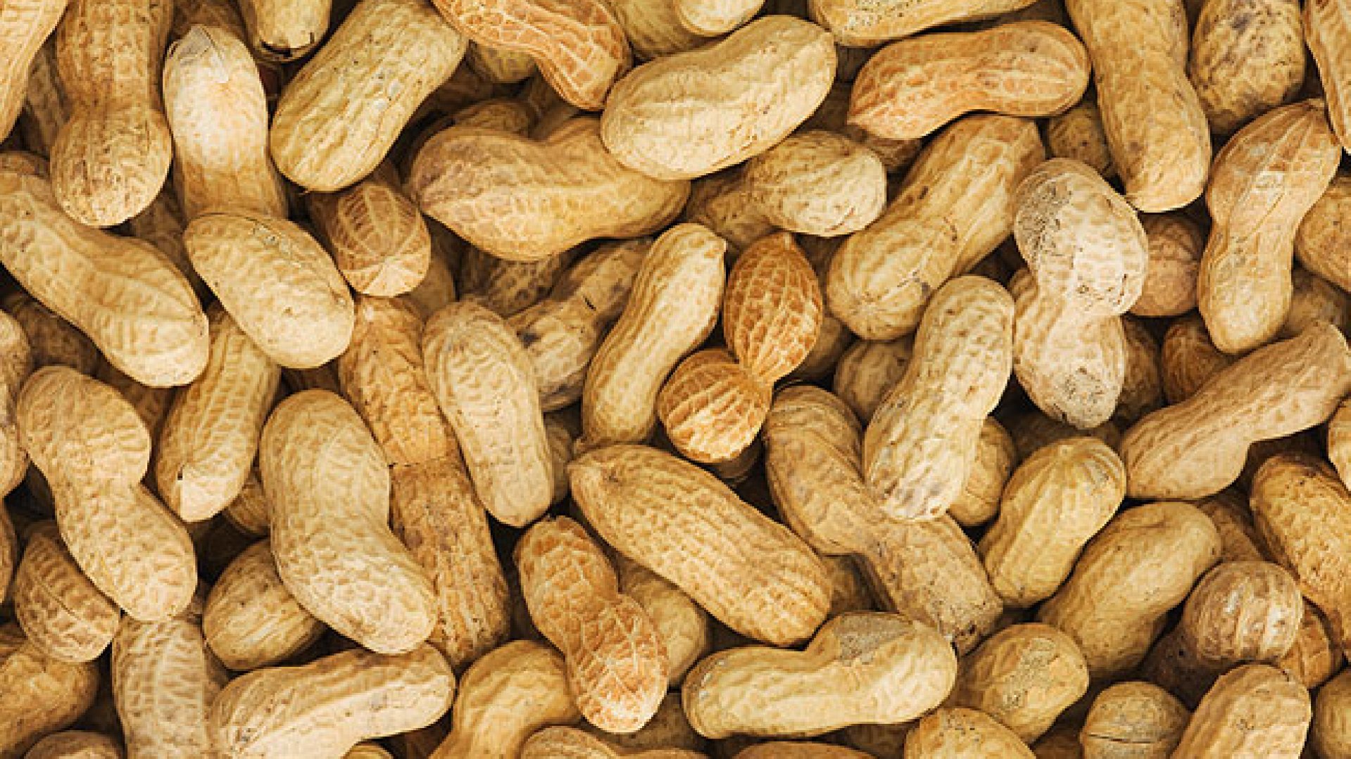Arachide : le Sénégal autorise à nouveau l’exportation jusqu’à la mi-juin