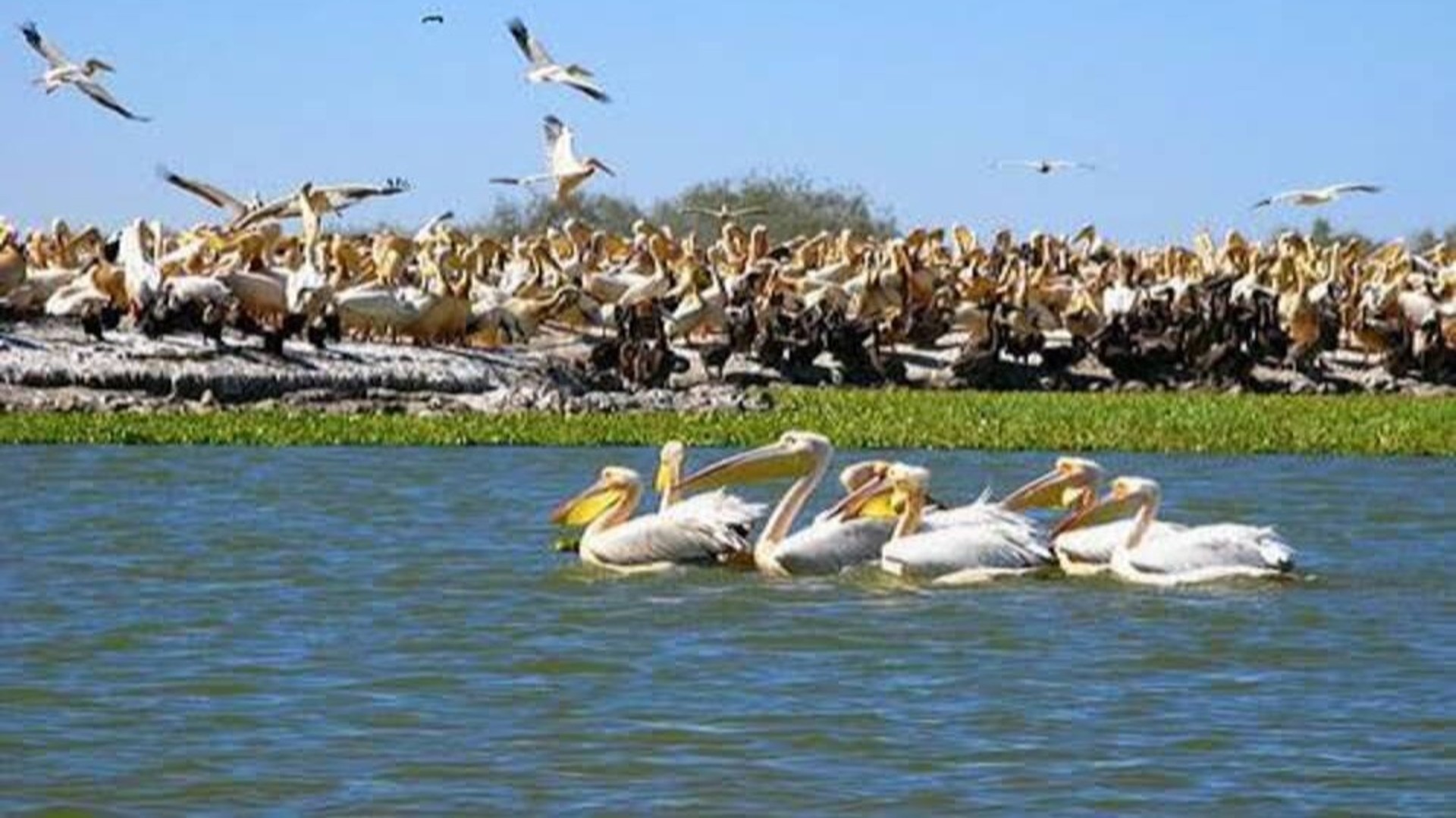 Zones marines protégées d'Afrique de l'Ouest : une gouvernance à améliorer d’urgence