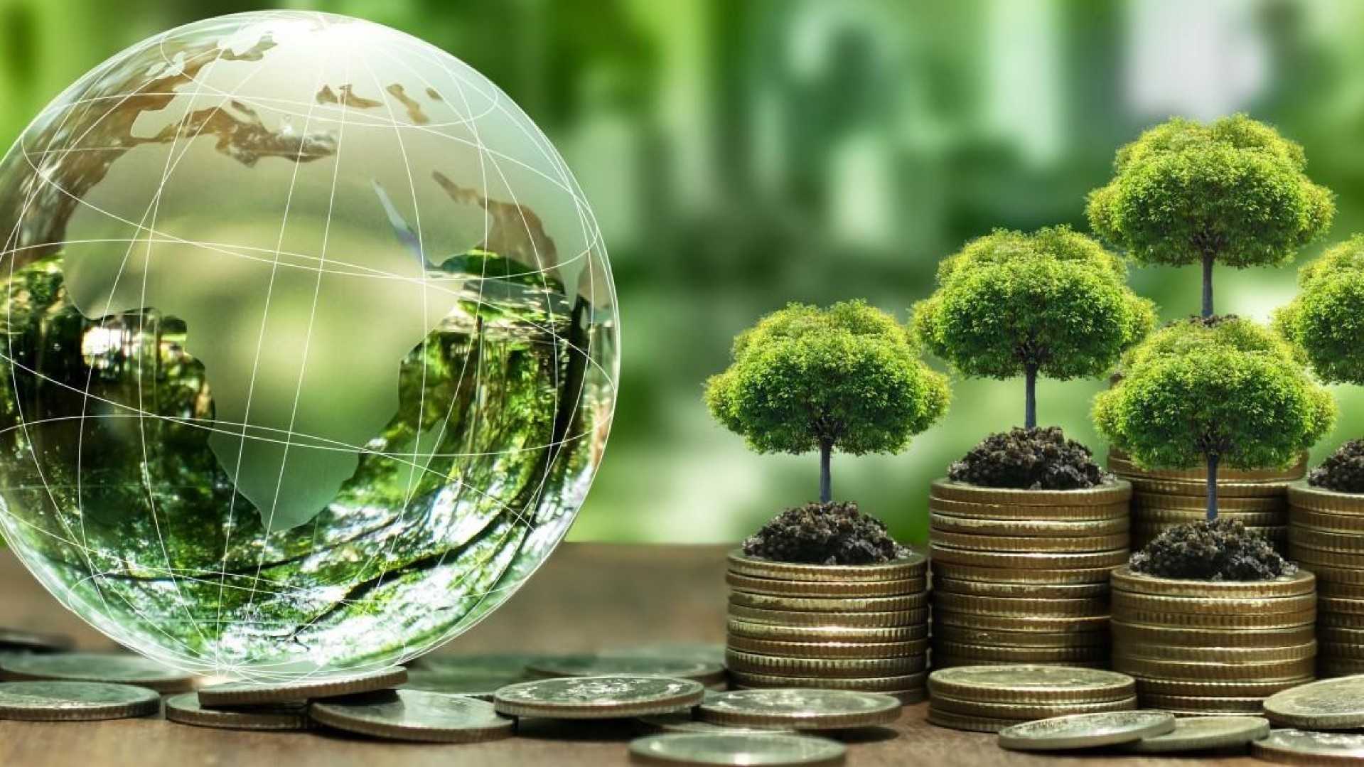 Financement vert : la CEDEAO travaille à un meilleur accès