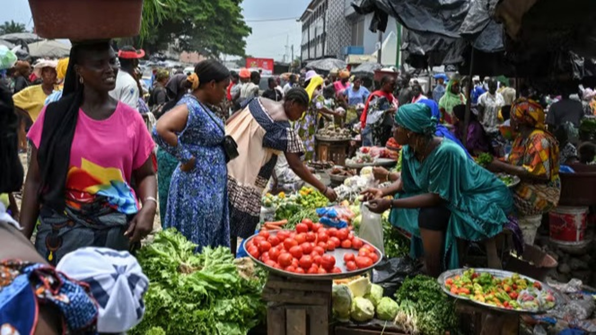 Croissance : l’Afrique subsaharienne au ralenti à 4 % en 2026