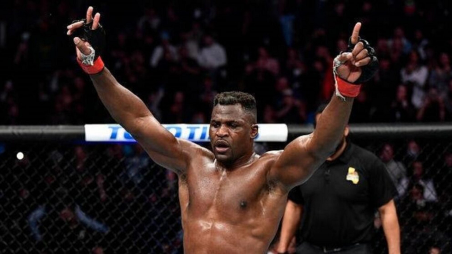 MMA : retour gagnant pour le Camerounais Francis Ngannou