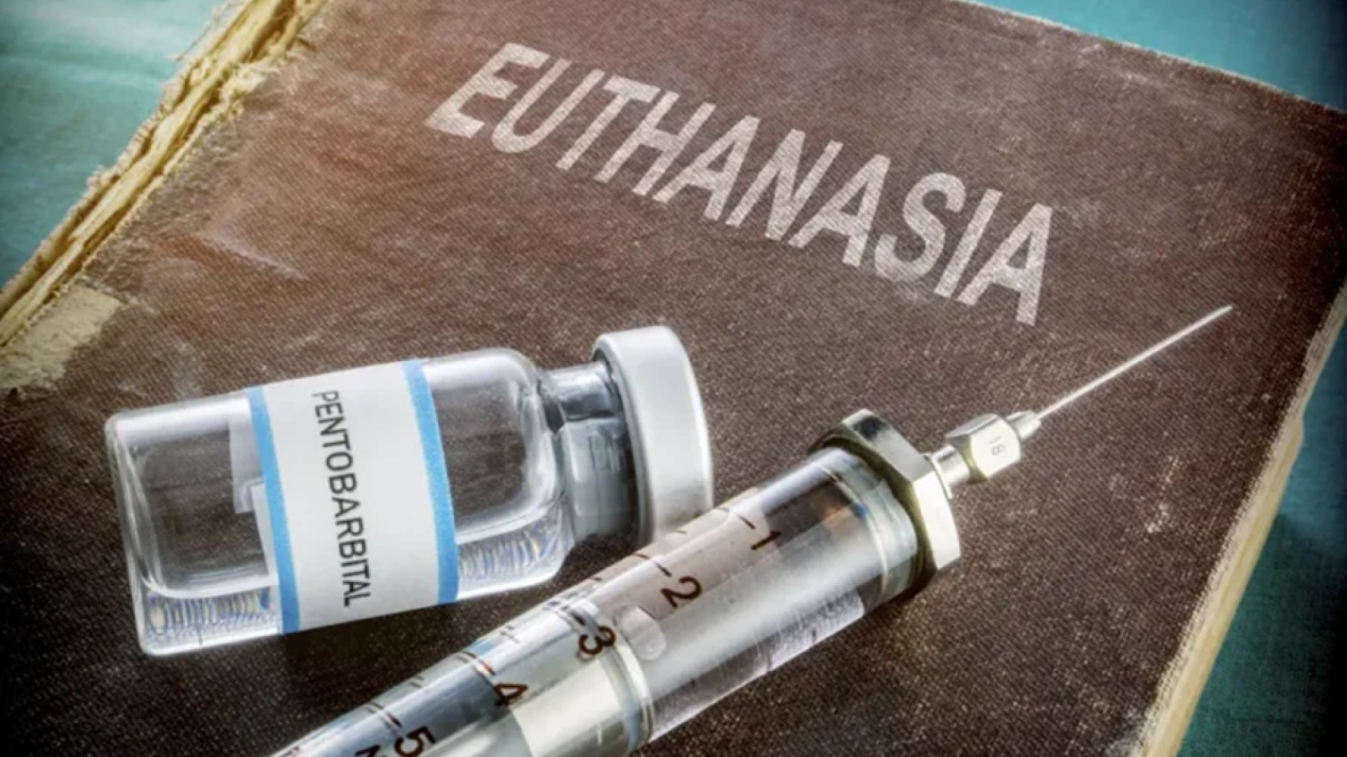 L’euthanasie bientôt autorisée en Ethiopie