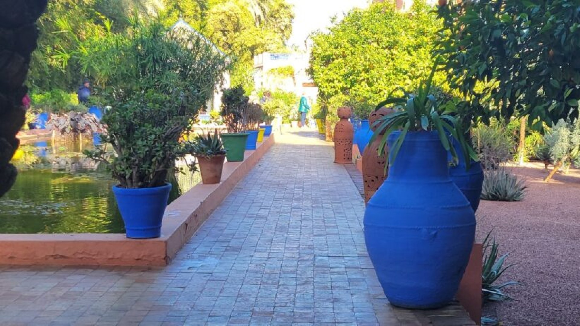 Majorelle, un souffle culturel à Marrakech