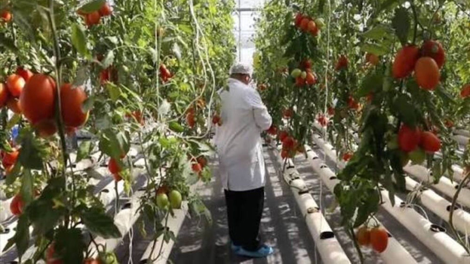 Tunisie : 2,6 % de croissance en 2025 et 3,3 % en 2026
