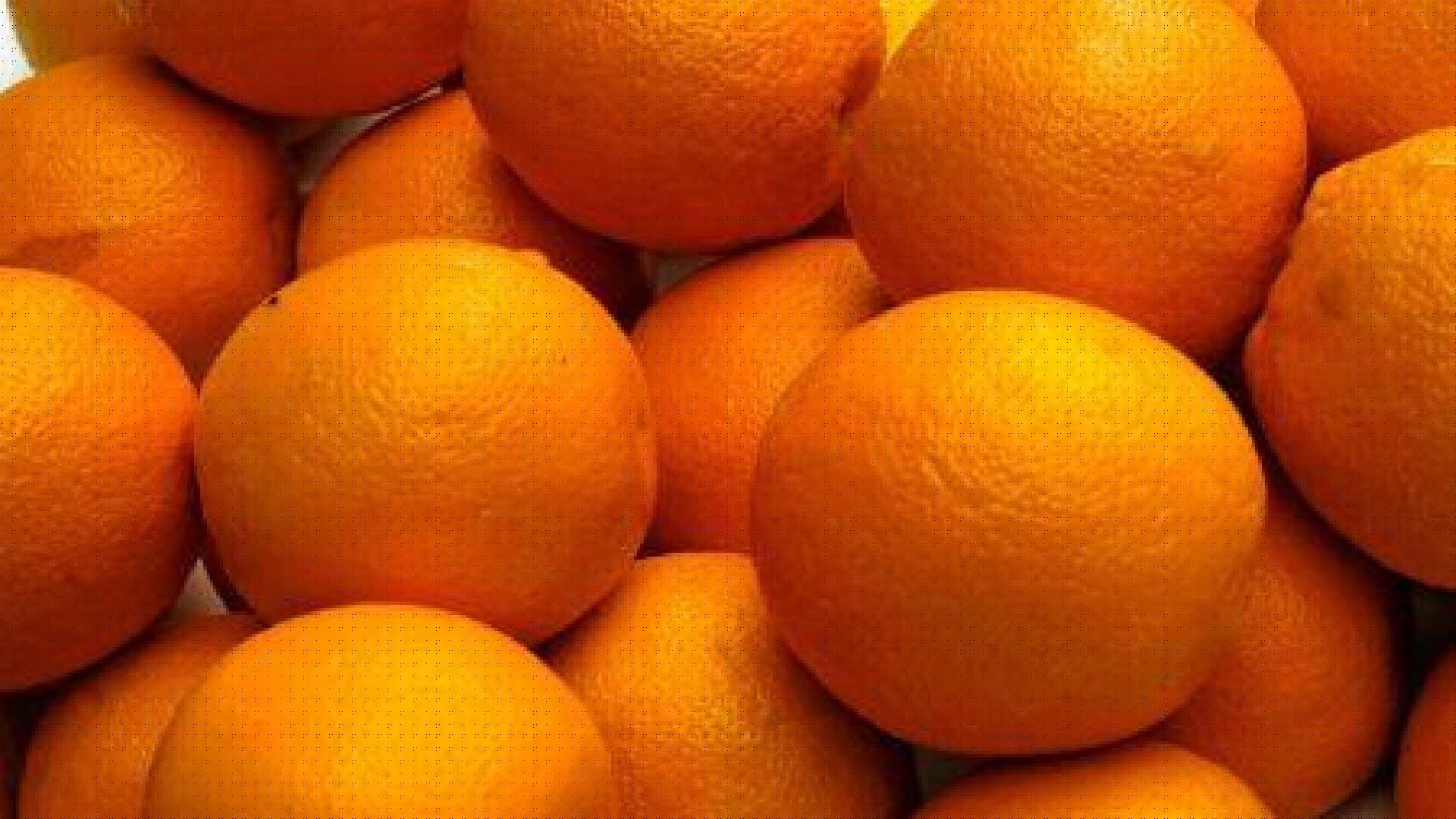 Orange : les exportations du Maroc ont bondi de 38 %