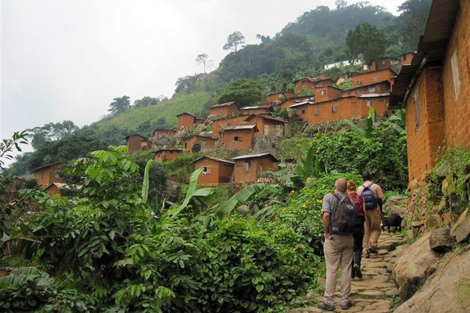 Les forêts du Togo se prêtent à des randonnées, activité qui peut générer des ressources financières par le tourisme. 